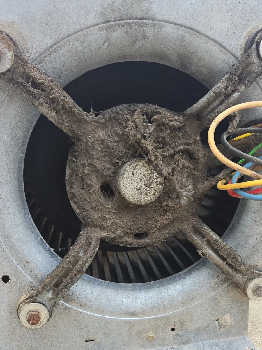 Blower assembly from the Bel Air job, with the motor's end and its mounting arms matted with gray dust and lint